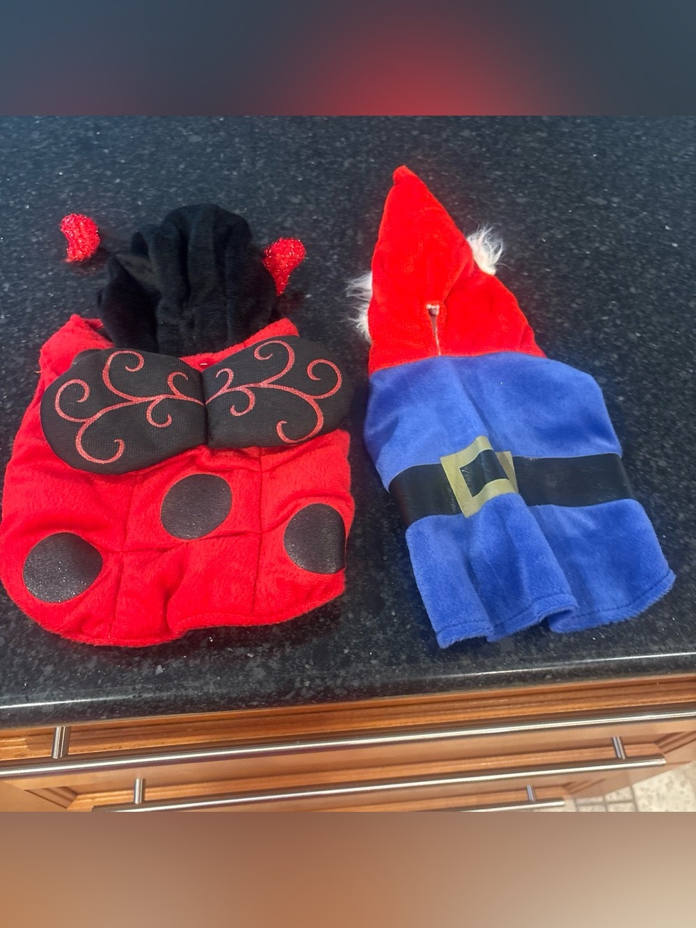 Pet Costume Ladybug and Gnome. Two outfits